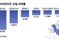 "2차전지 구조대 기다렸는데"…테슬라 실적 부진에 '급브레이크'
