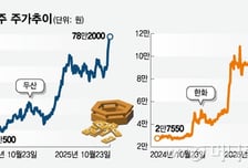 "1억 넣었더니 3.9억 됐다" 290% 뛴 이 종목…더 뛸까? 증권가 전망은