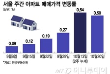 이틀새 집값 3억 껑충… 규제직전 '막차' 미어터졌다