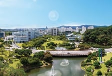 "연봉 4억에 집도 줍니다" 중국서 달콤한 유혹…카이스트 교수들 '술렁'