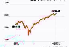 美 증시, 비싸다는 것 외엔 문제 없어…"더 오른다" 낙관론 고조