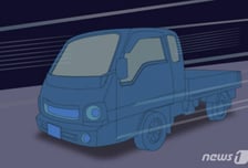 신호 위반 트럭에 치인 '신혼 부부'…임신한 아내 사망, 운전자 구속