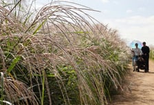 선선한 날씨에 나들이 차량 증가…서울→부산 5시간50분