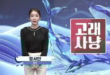 [고래사냥] '강원에너지, 미래나노텍, 애경케미칼!' 오늘 장 궁금종목 분석