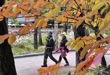 [오늘 날씨] 전국 구름 가득…수도권 비·서해안 강풍 주의