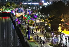 창원특례시 마산가고파국화축제 내달 1일 개막