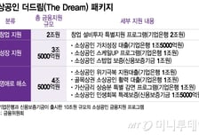 [단독]"소상공인에 10조 공급한다더니"…취지 무색한 '더드림 패키지'