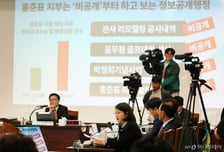 홍준표 없는 '홍준표 국감'…與, 대구 박정희 동상·취수원 사업 질타