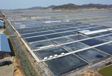 '염전노예 논란' 신안 염전, 국가유산 안 할래요…속사정 봤더니