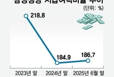 삼성전자 10만원 시대…삼성생명 자본·K-ICS 개선 수혜