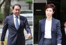 최태원과 이혼 확정, 노소영 SK·SK이노 특수관계인 제외