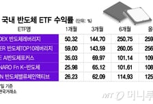 "14만전자·70만닉스 가능"…144% 뛴 반도체 ETF, 대박 잇는다