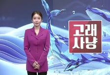 [고래사냥] 'TS인베스트먼트, 셀트리온, 나인테크, 뉴프렉스, 헥토파이낸셜!' 오늘 장 궁금종목 분석