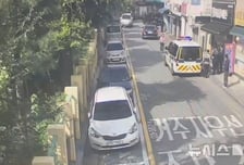 무단횡단 노인 잡았더니 "난 미국 시민권자"…96억 사기범이었다