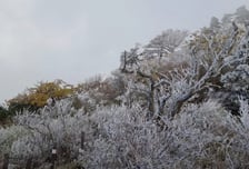 [사진] 단풍보다 상고대가 먼저 찾아온 덕유산 향적봉