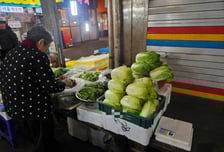 "김장? 힘든데 굳이 왜 해요" 외면에…김치 직접 담가 파는 야채가게