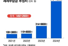 담배인 듯 담배 아닌 담배 같은 '합성니코틴'…1500억 세금 증발