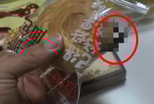 뜯지도 않은 빵 봉지 안에 바퀴벌레가?…또 중국 위생논란