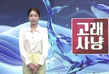 [고래사냥] '엔바이오니아, 씨앤지하이테크, 미래나노텍, 쏠리드!' 오늘 장 궁금종목 분석