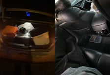 "차에서 1년 반 살았다"…전세사기 피해자, 임대주택 당첨 후기 '울컥'