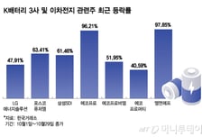 "100% 돈 복사" 이차전지주 줄줄이 급등…과열인가? 더 가나?