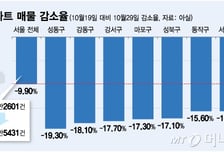토허제 열흘, 서울 매물 7170건 사라졌다