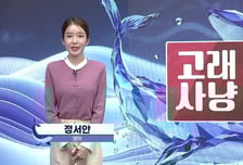 [고래사냥] '가온전선, 이루온, 대원전선, 데이타솔루션, 제일일렉트릭!' 오늘 장 궁금종목 분석