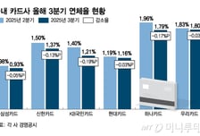 연체율 한풀 꺾인 카드사, "카드값 갚자"… 소비쿠폰 의외 효과?