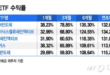 슈퍼 사이클에 SK하닉·마이크론 함께 달린다…ETF 수익률도 쑥