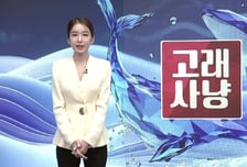 [고래사냥] '엔케이, SJG세종, 삼영, 원일티엔아이!' 오늘 장 궁금종목 분석