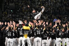 일본 소프트뱅크, 한신 꺾고 5년 만에 '일본시리즈 정상' 탈환