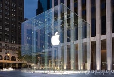 애플, 아이폰 17 반응 열광적…기대 넘은 매출 전망, 주가 2%대 상승