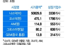 "나스닥 다음 간다"는 코스닥, 외국인은 모른다