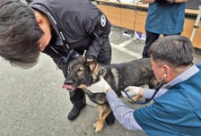 10시간 폭발물 찾고 링거 한 방…APEC 파견 경찰견 위해 '이들' 떴다