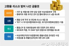 '뉴노멀' 고환율에 분주한 금융권…자본비율·리스크 관리 총력