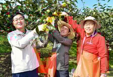 경남도의회 농해양수산위 농촌일손돕기 나서