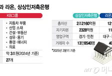 돈 벌기 시작한 저축은행, 반년 새 M&amp;A 3건… 구조조정 빨라지나