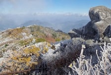 [내일 날씨] 가을 왔나 했는데 벌써 겨울?…일요일 최저 4도 "추워요"