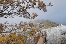 [오늘 날씨] 바람 불고 쌀쌀한 일요일…최저 4도, 내일은 더 춥다