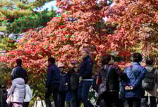 11월 기온 평년보다 높다…'높은 해수면 온도' 영향