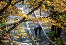 [오늘 날씨] 아침엔 최저 1도 '겨울'…낮엔 최고 21도 '가을'