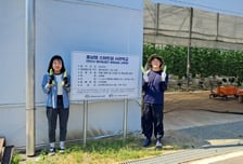 ‘온실 속 청년들’이 싹 틔운 천안 K-스마트팜