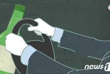 '효도 관광' 한국 온 첫날…'소주 3병' 만취 운전에 일본인 모녀 참변