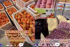 상주 곶감이라더니 주소도 계좌도 중국…유튜브서 우리 농가 도용 '사기'