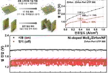 켄텍 연구팀, MoS₂ 기반 고성능 알칼라인 수전해 수소발생전극 개발