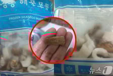 "냉동 해물서 니코틴 냄새"…담배꽁초 나온 제품 뭐길래 '충격'