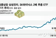 95% 오른 삼성전자, 290% 오른 2X ETF, 서학개미 몰려간다