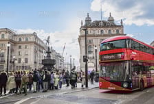 바텐더 연봉, 변호사와 비슷…'최저임금 2만3900원'에 난리난 이 나라