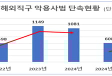 관세청, 연말까지 '해외직구 불법 수입' 특별단속