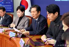 코스피 4000↓…민주당 "예견된 흐름, 붕괴됐다는 용어 주의해야"